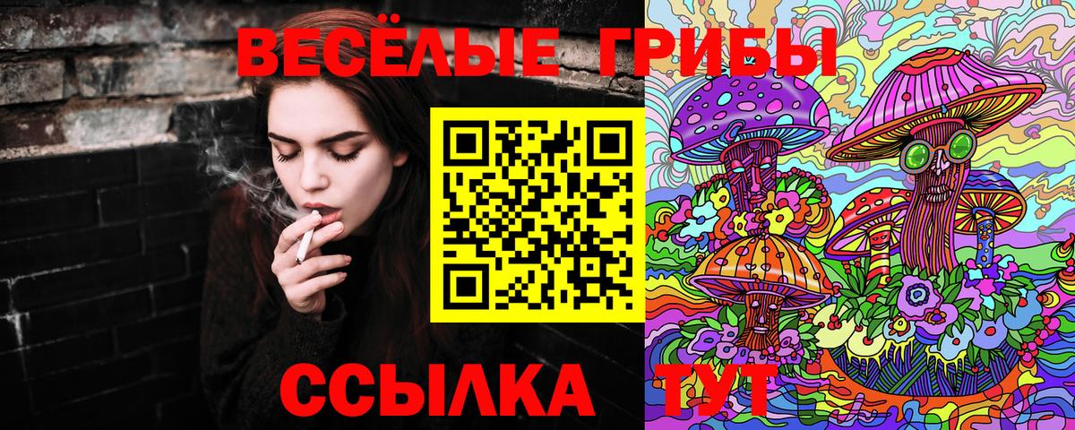 Камень-на-Оби  Псилоцибиновые грибы Psilocybe  Псилоцибиновые грибы Cubensis  Вход с VPN 